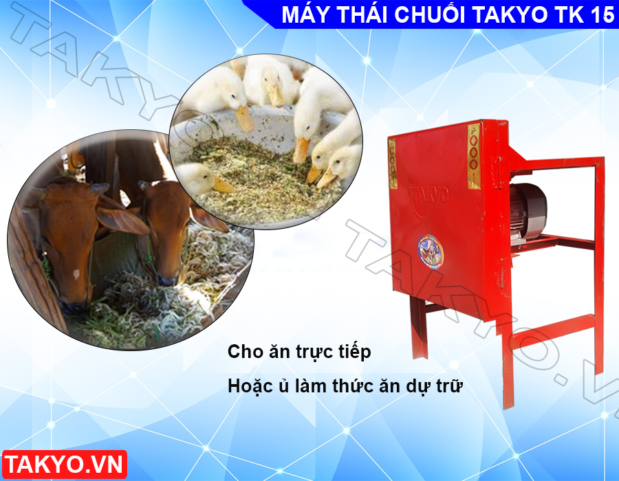 Chế phẩm khi sử dụng máy thái chuối Takyo TK 15