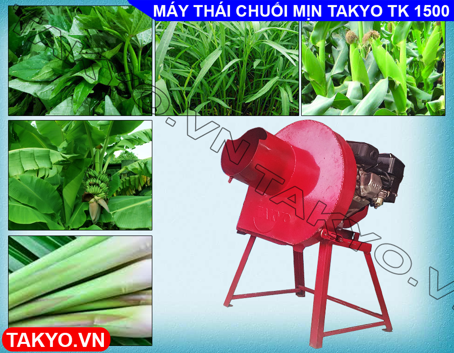 Công dụng máy băm chuối đa năng động cơ Takyo TK 55