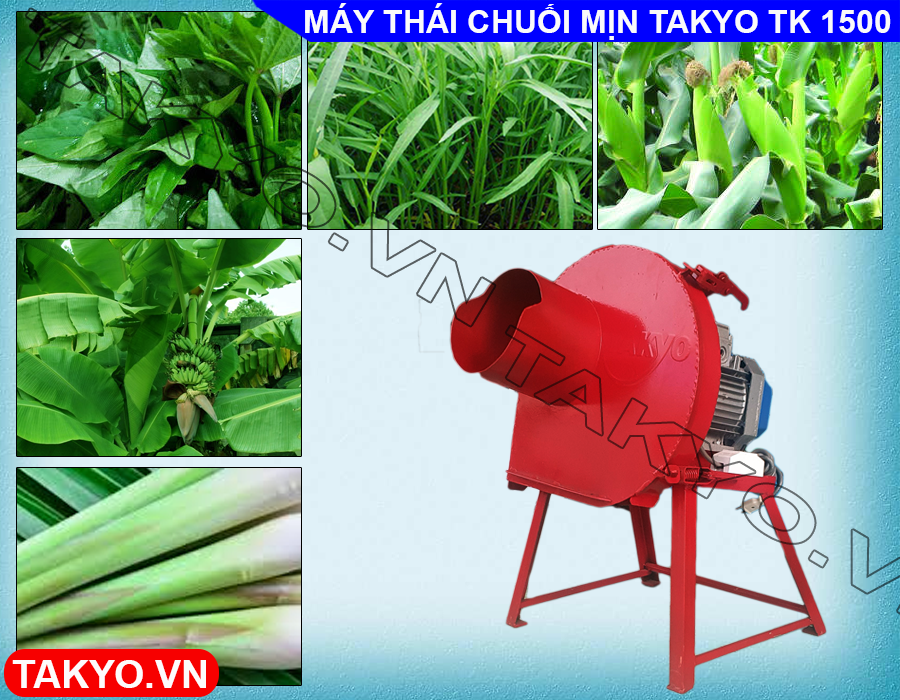 Công dụng máy thái băm chuối Takyo TK 150