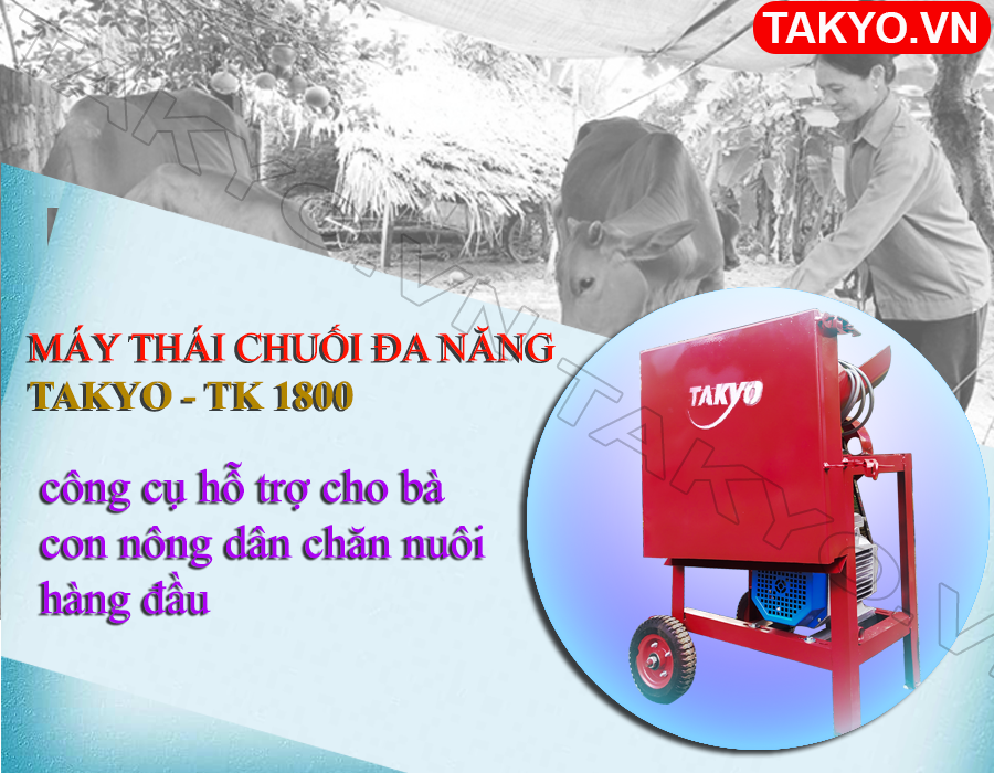 Lý do bà con nên chọn máy băm thái chuối đa năng Takyo TK 1800