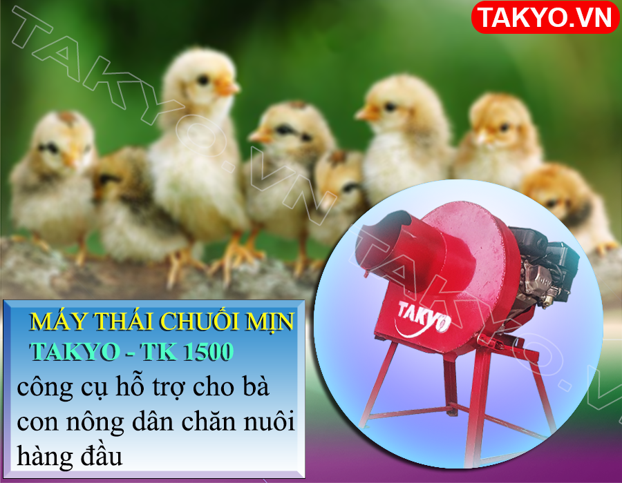 Lý do bà con nên chọn máy băm chuối đa năng động cơ Takyo TK 55