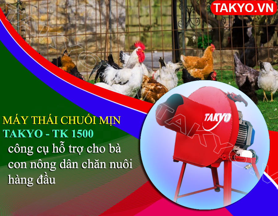 Lý do bà con nên máy thái chuối Takyo TK 1500