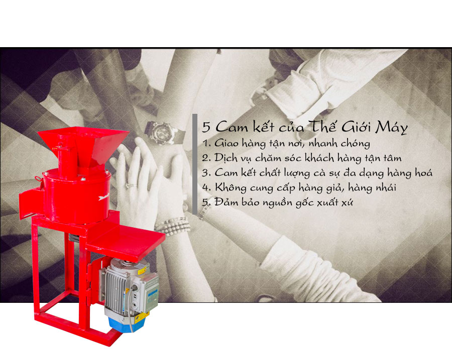 Cam kết của chúng tôi