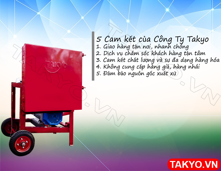 Cam kết của chúng tôi