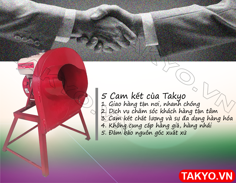 Cam kết của chúng tôi