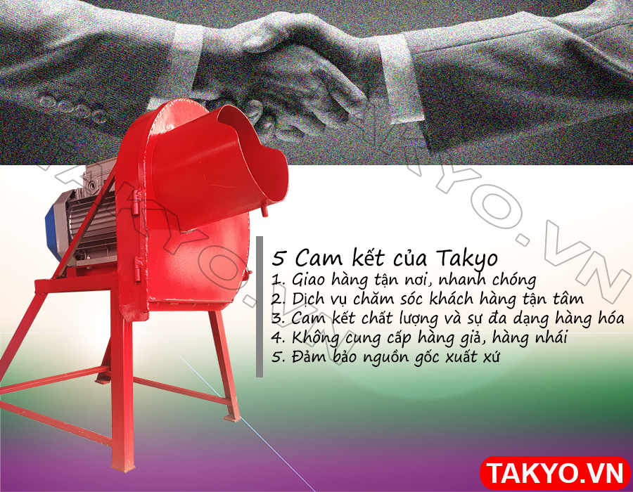 Cam kết của chúng tôi