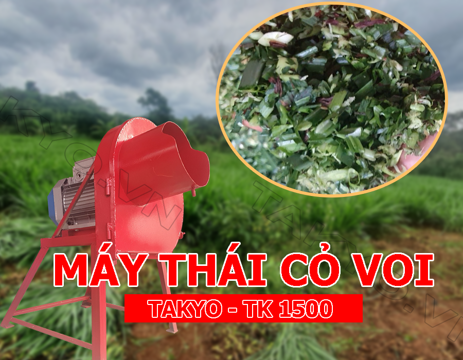Chế phẩm máy thái cỏ voi Takyo TK 1500