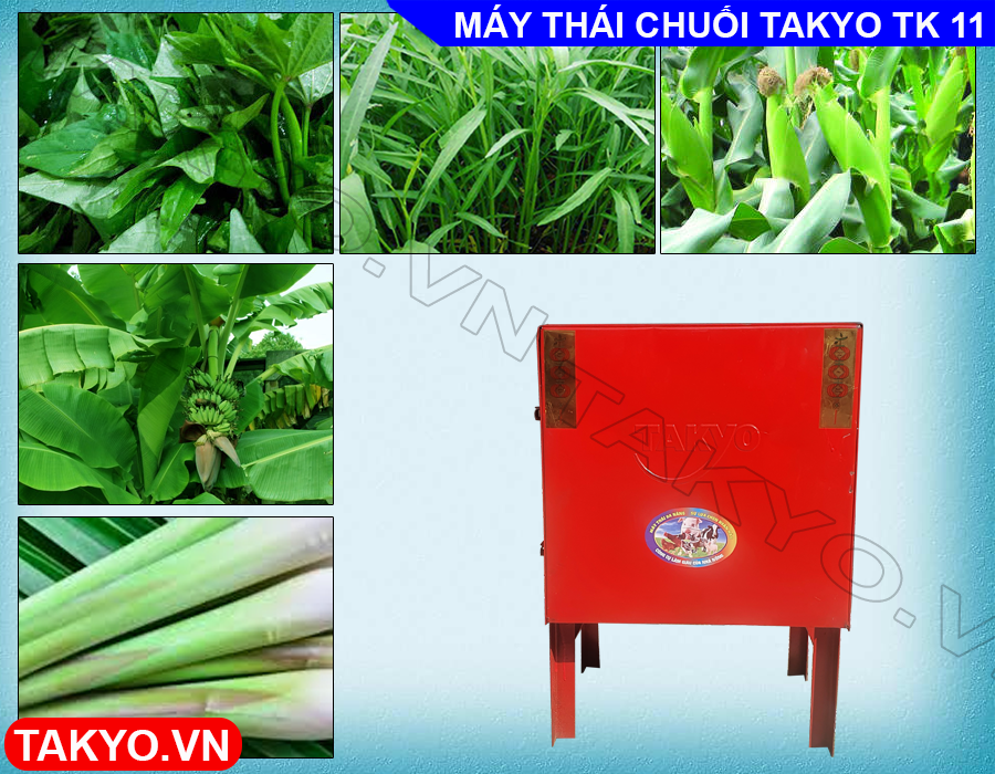 Công dụng máy băm chuối đa năng TK 11