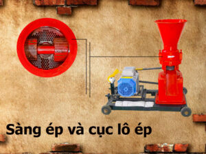 Sàng và cục lô ép máy cám viên Takyo