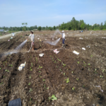 MÁY BƠM THUYỀN ĐỘNG CƠ XĂNG TƯỚI CÂY - Ảnh 17