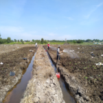 MÁY BƠM THUYỀN ĐỘNG CƠ XĂNG TƯỚI CÂY - Ảnh 18
