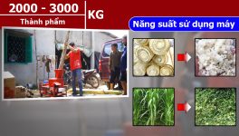 Năng suất hoạt động máy băm chuối đa năng Takyo TK 3000