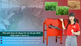 MÁY BĂM CỎ ĐA NĂNG TAKYO TK 15 - Ảnh 2