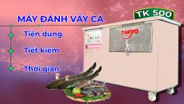 Máy đánh vảy cá Takyo TK 500