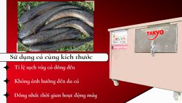 Máy đánh vảy cá công nghiệp TAKYO TK 500 - Ảnh 10