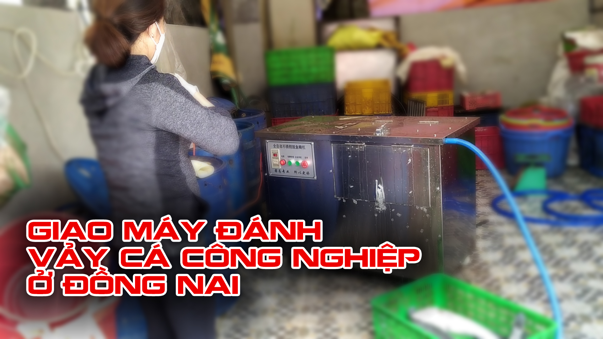 Giao Máy đánh vảy cá cho khách hàng ở Đồng Nai.