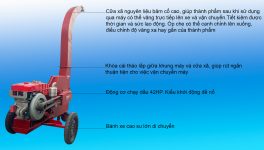 Cấu tạo sơ bộ máy băm cây Takyo TK 420