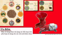Máy ép cám viên trục liền Takyo TK 180 - Ảnh 8