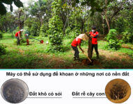 Máy có thể khoan được lỗ với dạng đất khô có sỏi và đất rễ cây non
