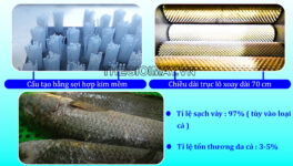 Máy đánh vảy cá công suất lớn Takyo TK 700 - Ảnh 3
