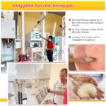 Sàng phân loại gạo của dây chuyền máy xát gạo Takyo XL-21