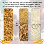 Thành phẩm của máy xát gạo Takyo TK 1000