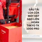 Gầu tải lúa của máy xát gạo Takyo TK 1000 Pro