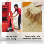 Thành phẩm của máy xát gạo Takyo Tk 1000 pro