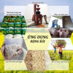 Ứng dụng đa dạng của máy xát gạo đời mới Takyo TK 250 CT