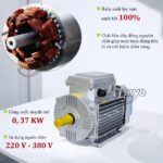 Động cơ sử dụng cho máy lọc sạn đa năng Takyo TK 1000
