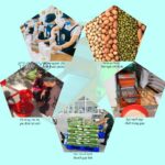 Ứng dụng của máy lọc sạn đa năng Takyo TK 1000